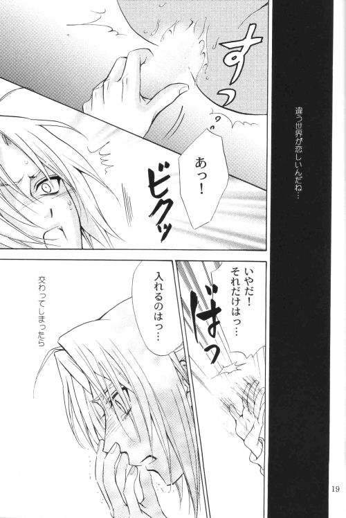 Honey Hunt 【鋼の錬金術師/アルエド(アルフォンス×エドワード)】 page 18