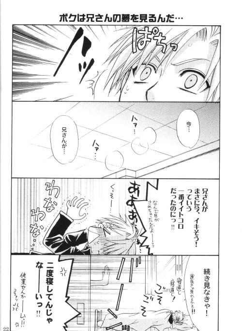 Honey Hunt 【鋼の錬金術師/アルエド(アルフォンス×エドワード)】 page 21