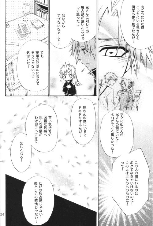 Honey Hunt 【鋼の錬金術師/アルエド(アルフォンス×エドワード)】 page 23