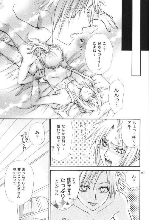 Honey Hunt 【鋼の錬金術師/アルエド(アルフォンス×エドワード)】 page 26