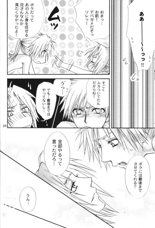 Honey Hunt 【鋼の錬金術師/アルエド(アルフォンス×エドワード)】 page 27