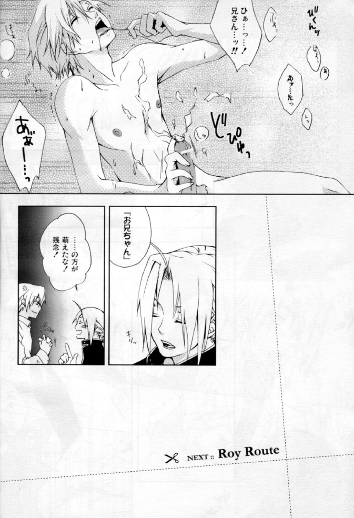 先制攻撃【鋼の錬金術師/エドロイ】 page 12