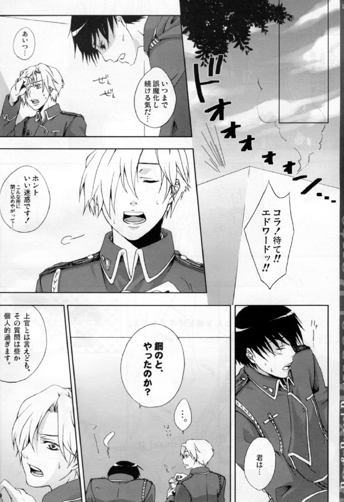 先制攻撃【鋼の錬金術師/エドロイ】 page 20