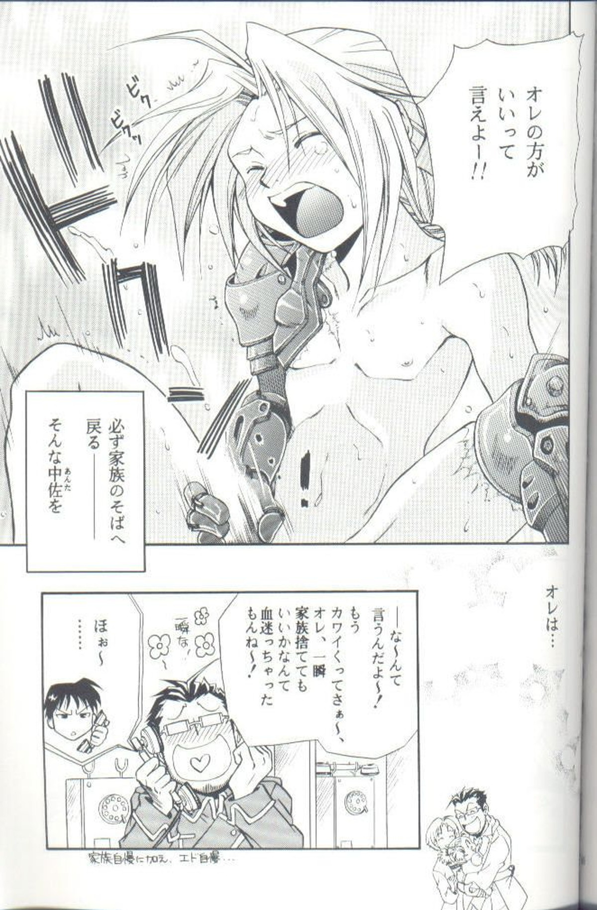 Cat on Maes【鋼の錬金術師/ヒューエド】 page 17