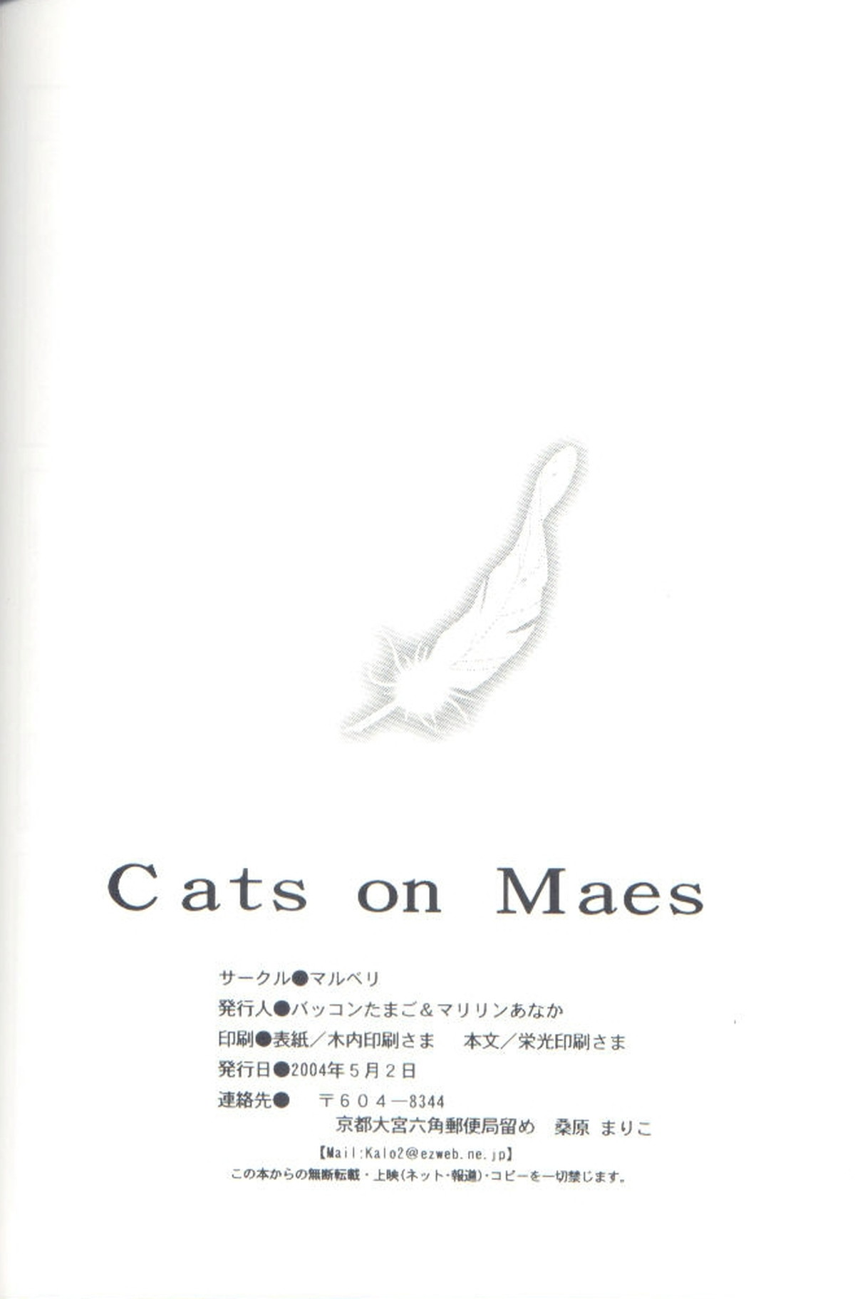 Cat on Maes【鋼の錬金術師/ヒューエド】 page 22