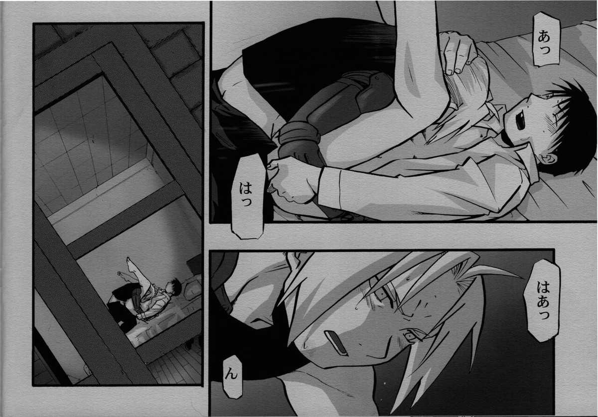 かくも激しき希望の歳月【鋼の錬金術師/エドロイ】 page 11