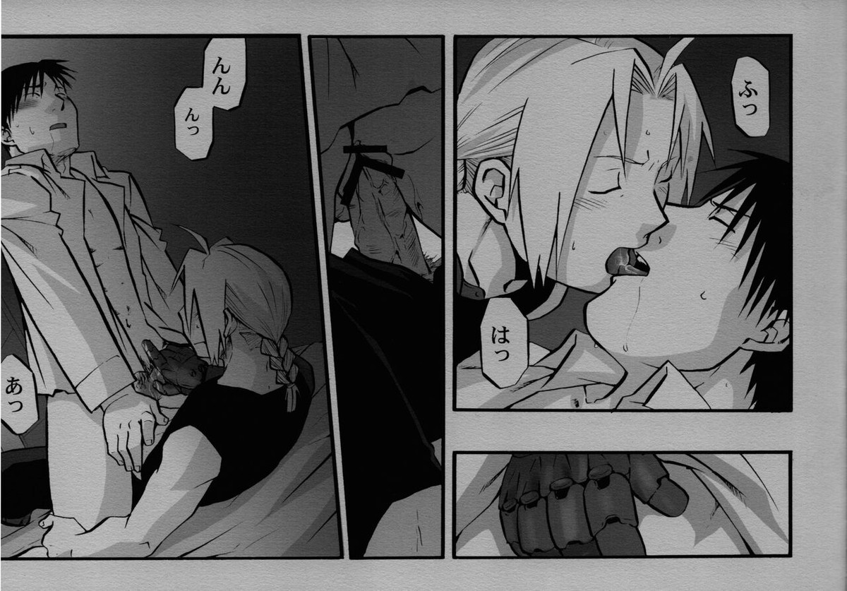 かくも激しき希望の歳月【鋼の錬金術師/エドロイ】 page 12
