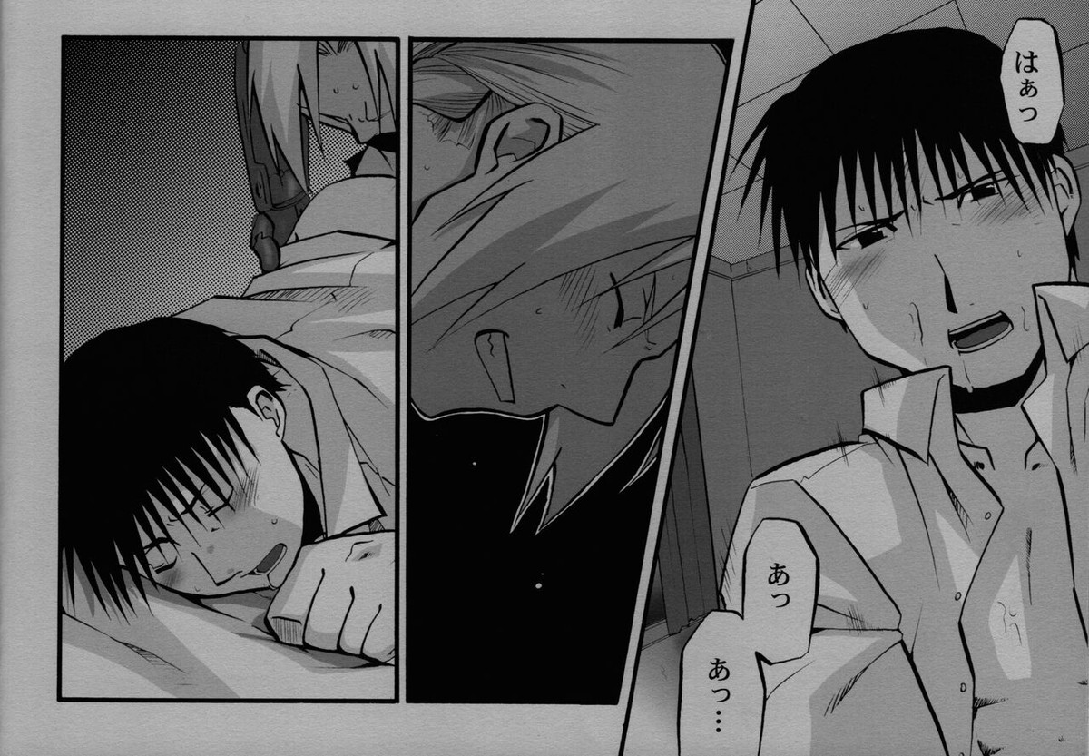 かくも激しき希望の歳月【鋼の錬金術師/エドロイ】 page 13