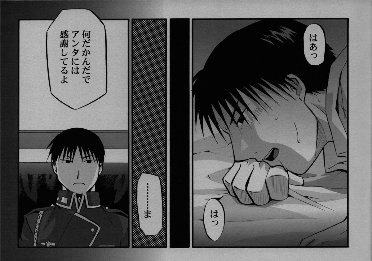 かくも激しき希望の歳月【鋼の錬金術師/エドロイ】 page 14