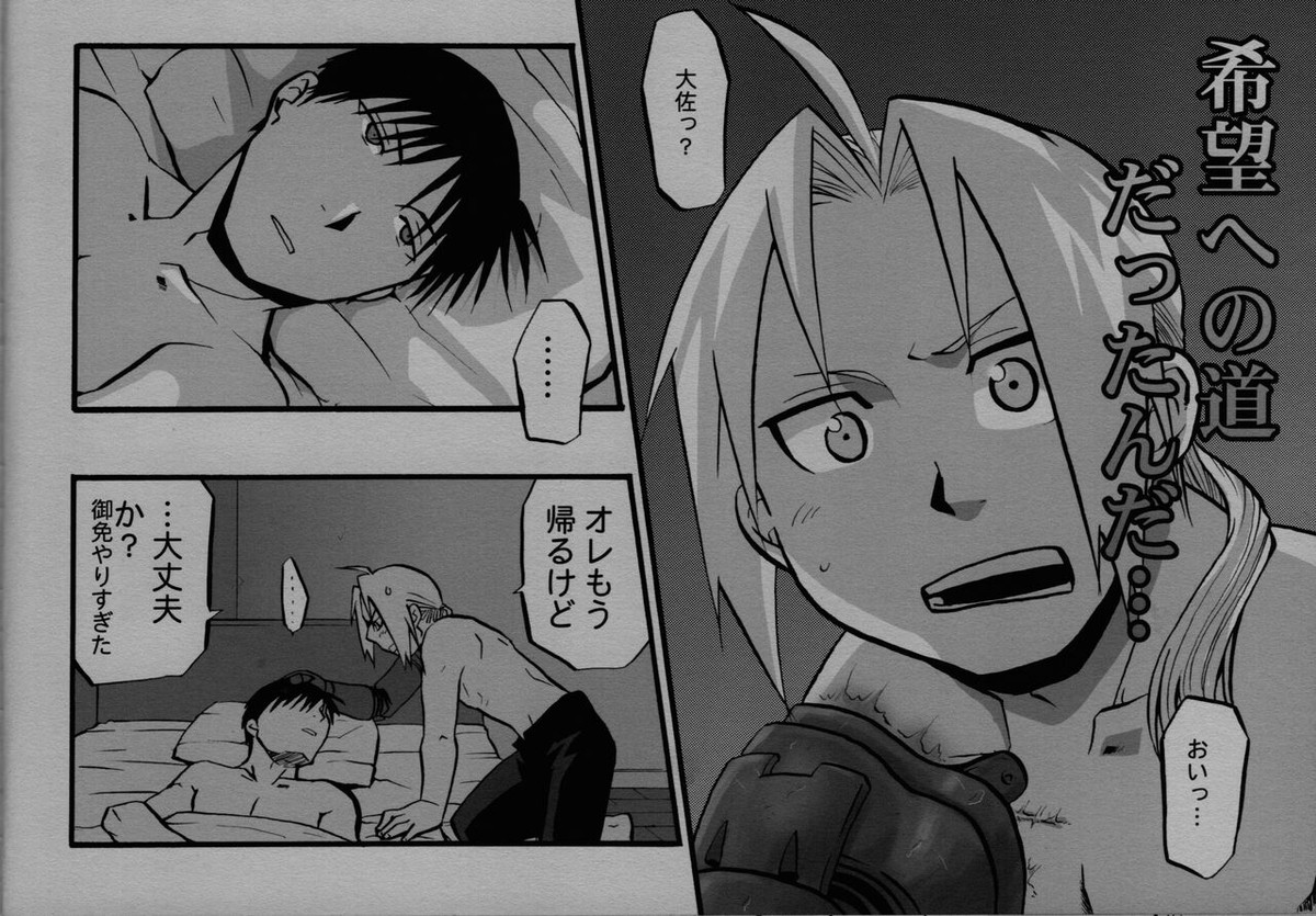 かくも激しき希望の歳月【鋼の錬金術師/エドロイ】 page 17