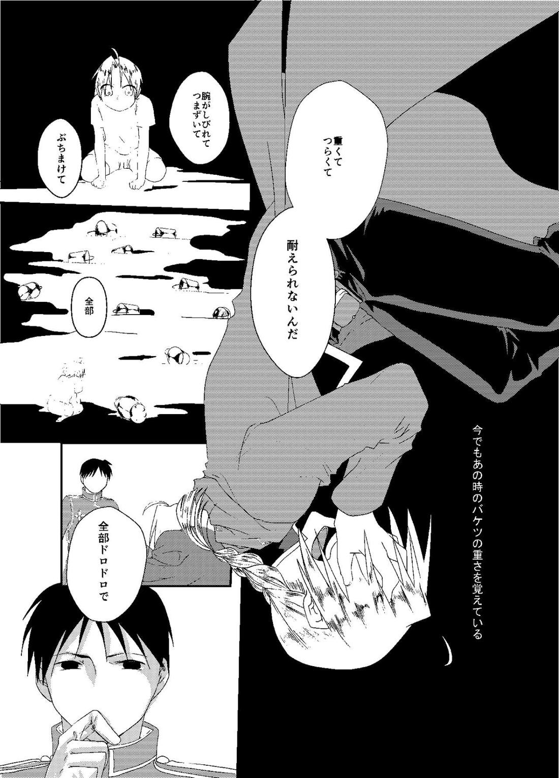 バケツいっぱいぶんの【鋼の錬金術師/ロイエド】 page 16