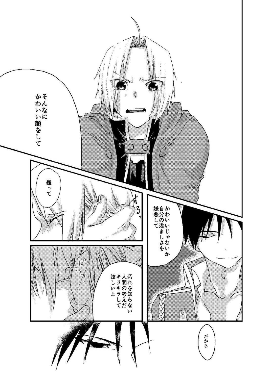 バケツいっぱいぶんの【鋼の錬金術師/ロイエド】 page 18