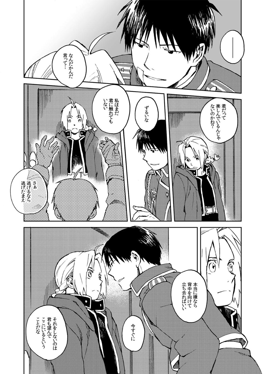 Ineffective medicine （No medicine can cure folly）!【鋼の錬金術師/ロイエド】 page 11