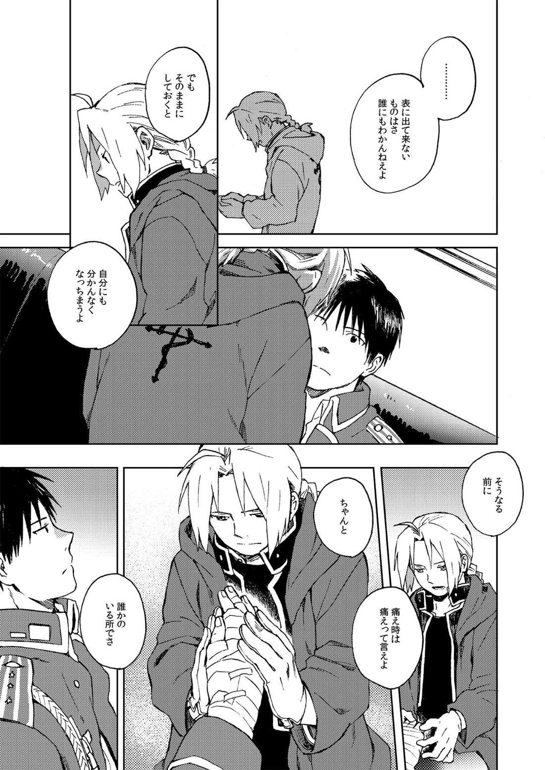 Ineffective medicine （No medicine can cure folly）!【鋼の錬金術師/ロイエド】 page 24