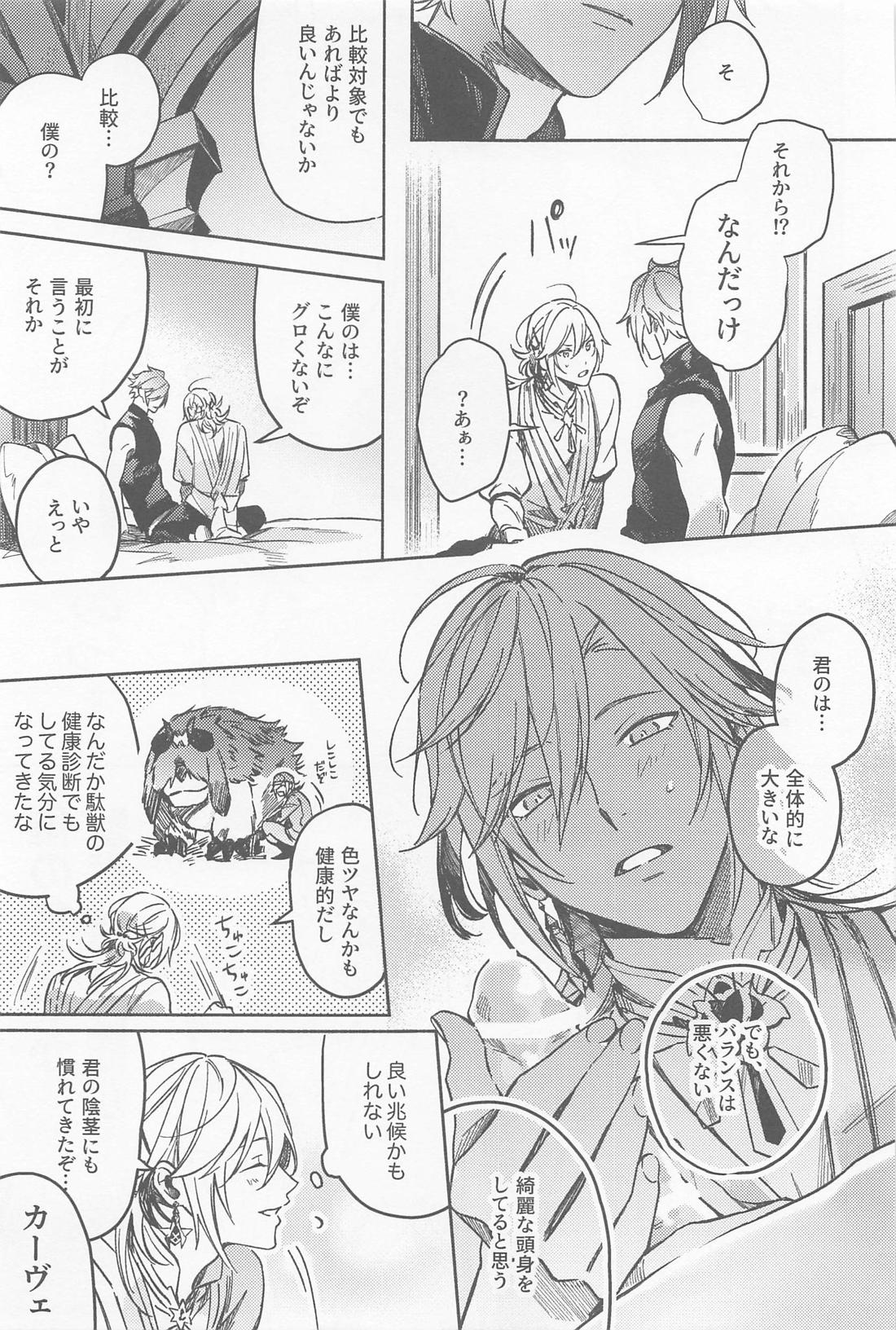 アブラカダブラヒラケヨトビラ【原神/アルカヴェ】 page 14