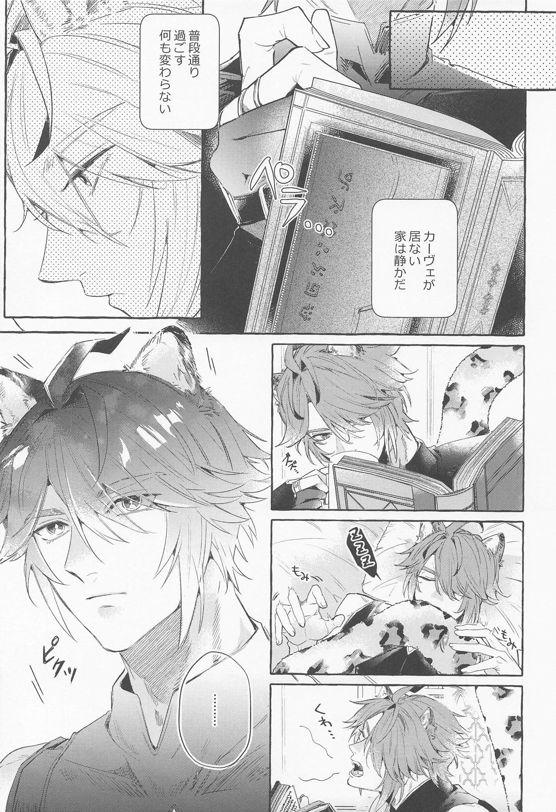 僕のずっとかわいい大きな子猫【原神/アルカヴェ】 page 6