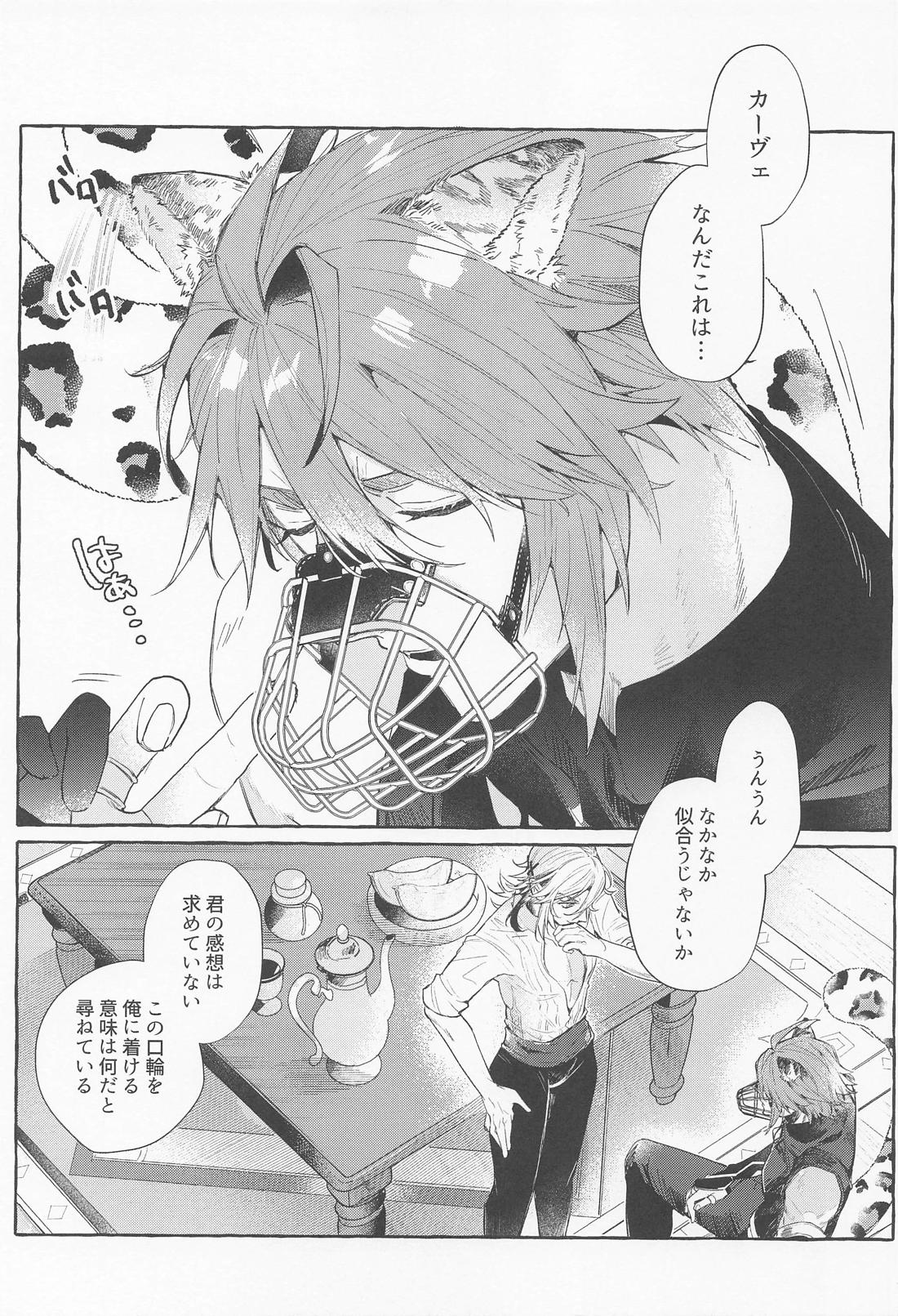僕のずっとかわいい大きな子猫【原神/アルカヴェ】 page 12