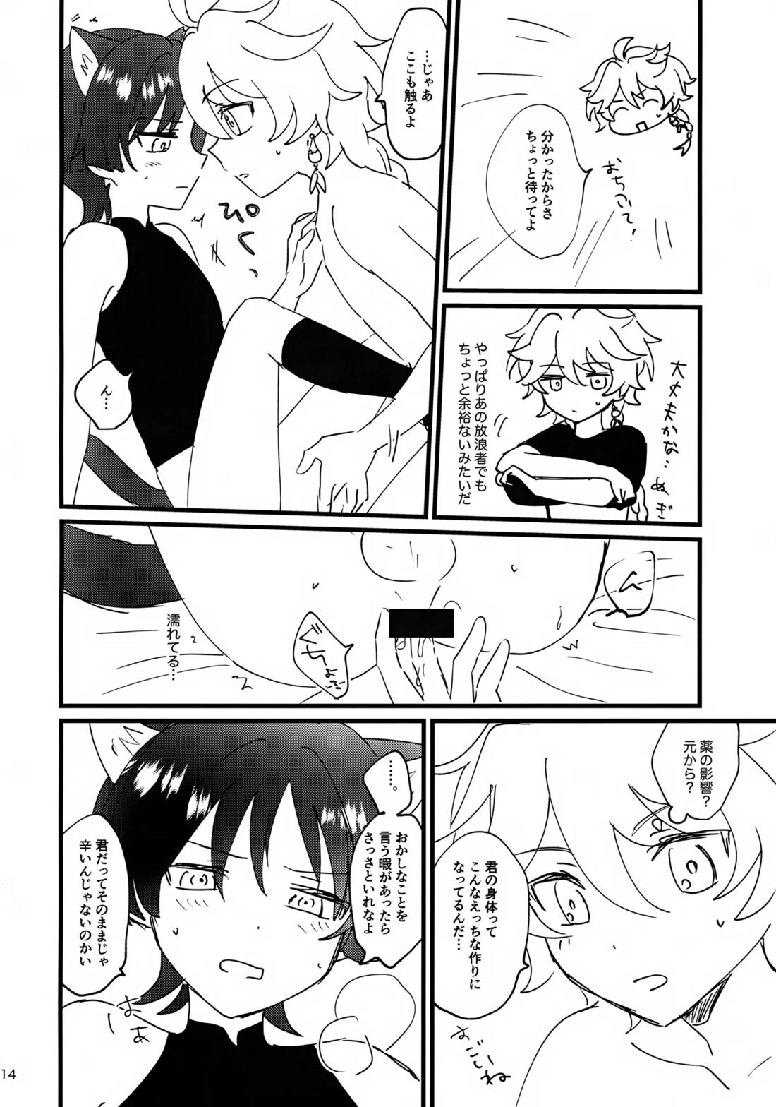 猫耳物語【原神/空×放浪者】 page 13