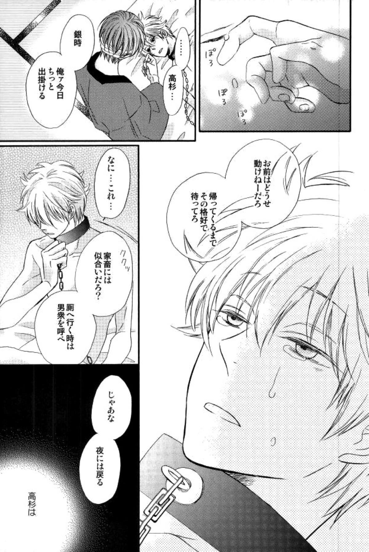花の縛人【銀魂/高銀】 page 38