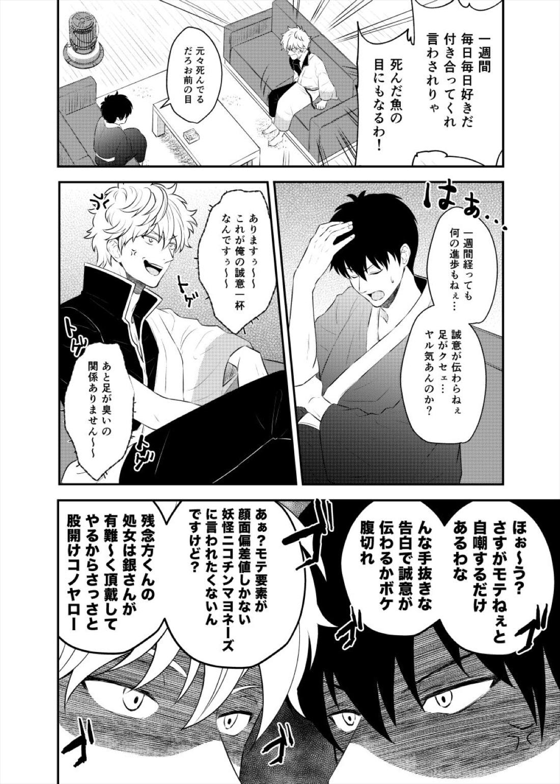 監禁ブリリアントデイズ【銀魂/銀土】 page 27
