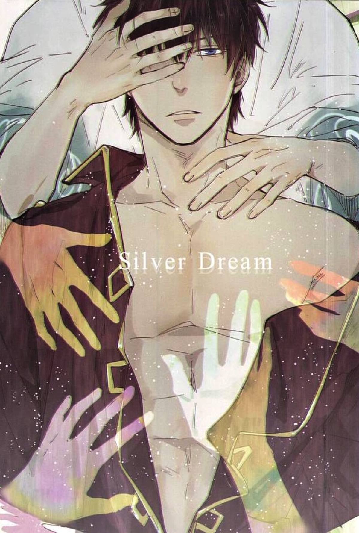 BL manga "Silver Dream【銀魂/銀土】" cover image