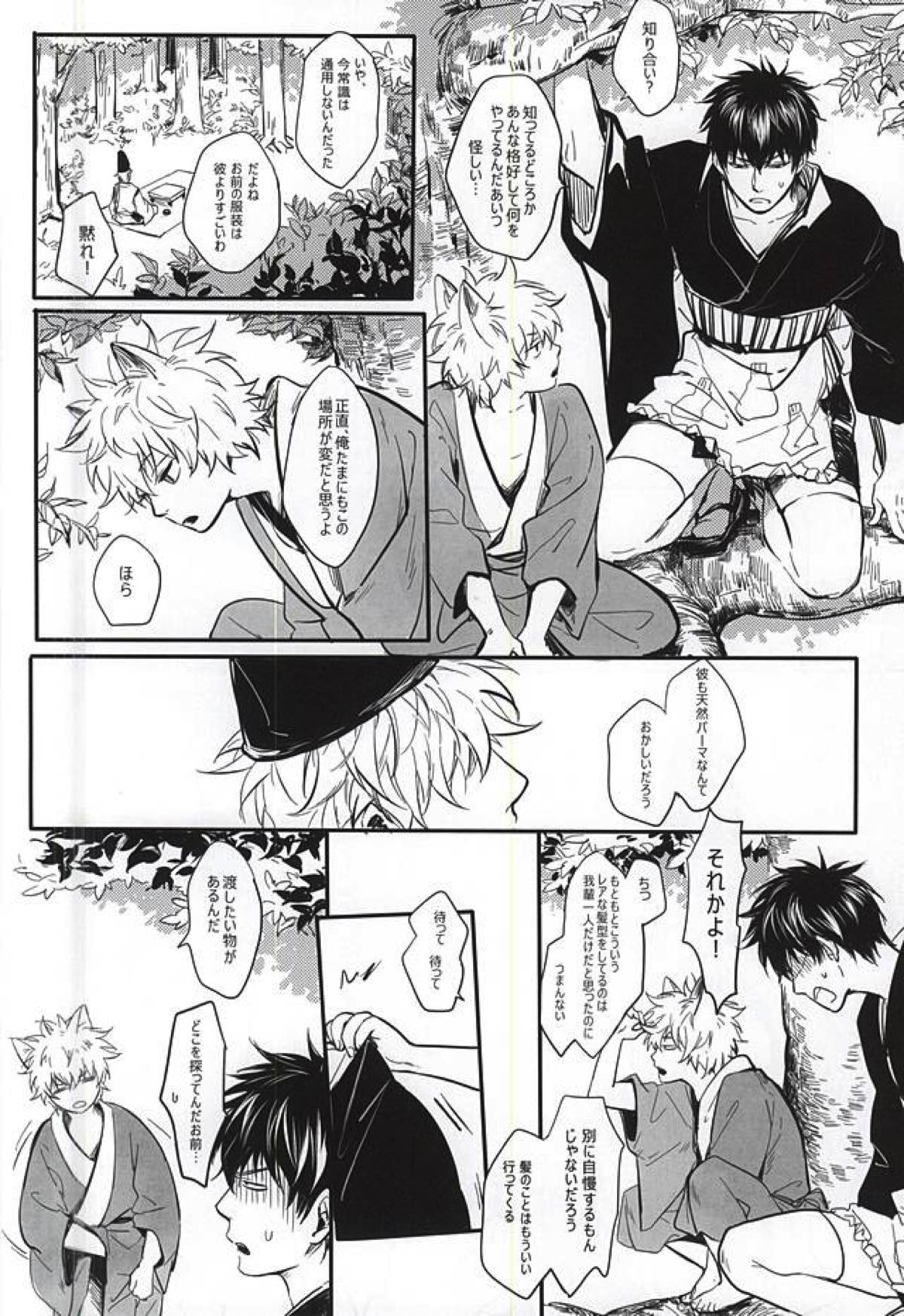 Silver Dream【銀魂/銀土】 page 13