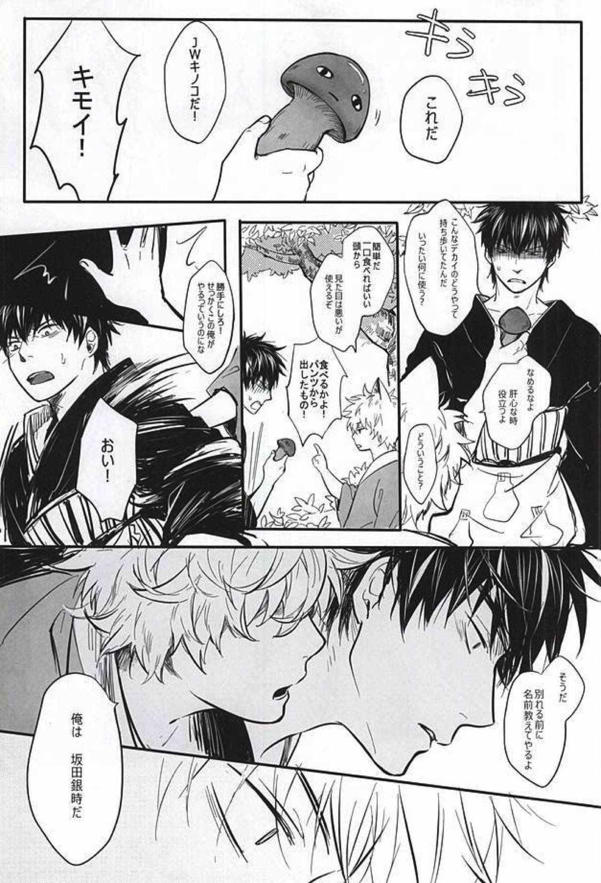 Silver Dream【銀魂/銀土】 page 14