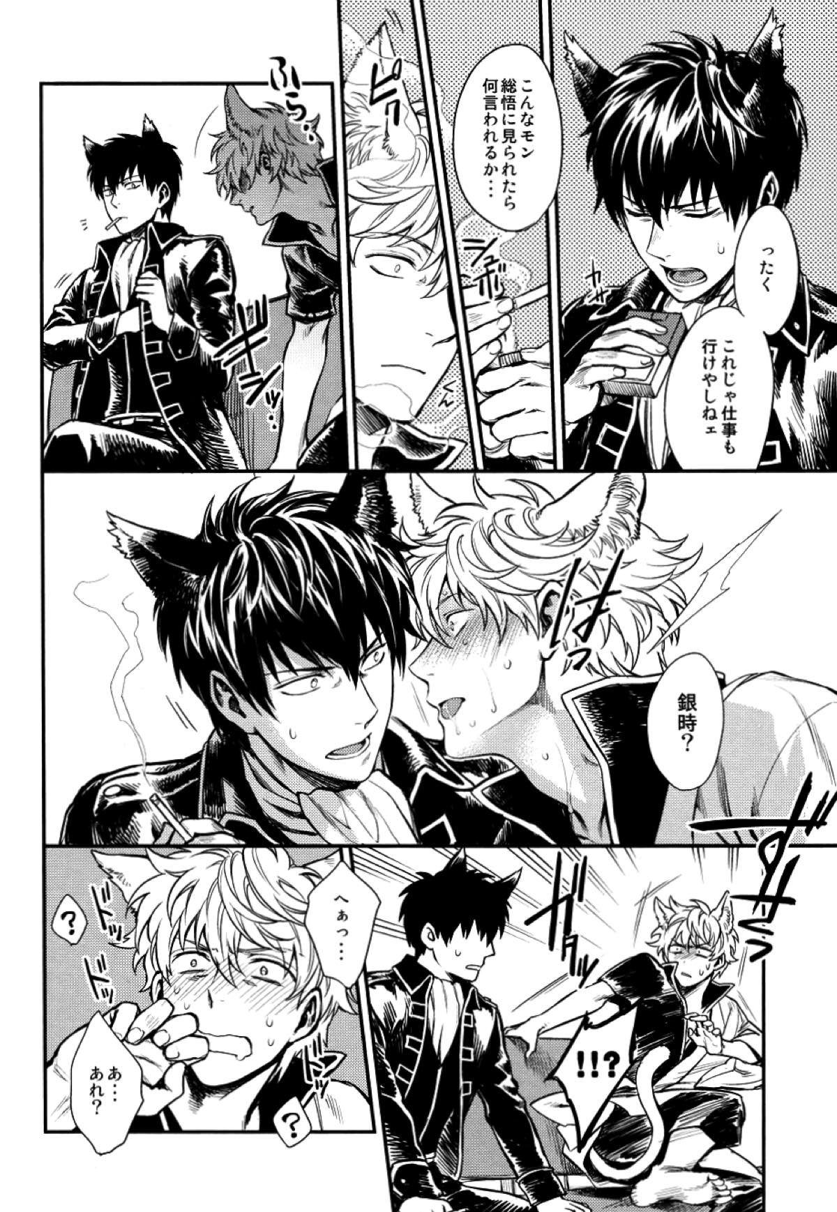 LIKE CAT AND DOG【銀魂/土銀】 page 11