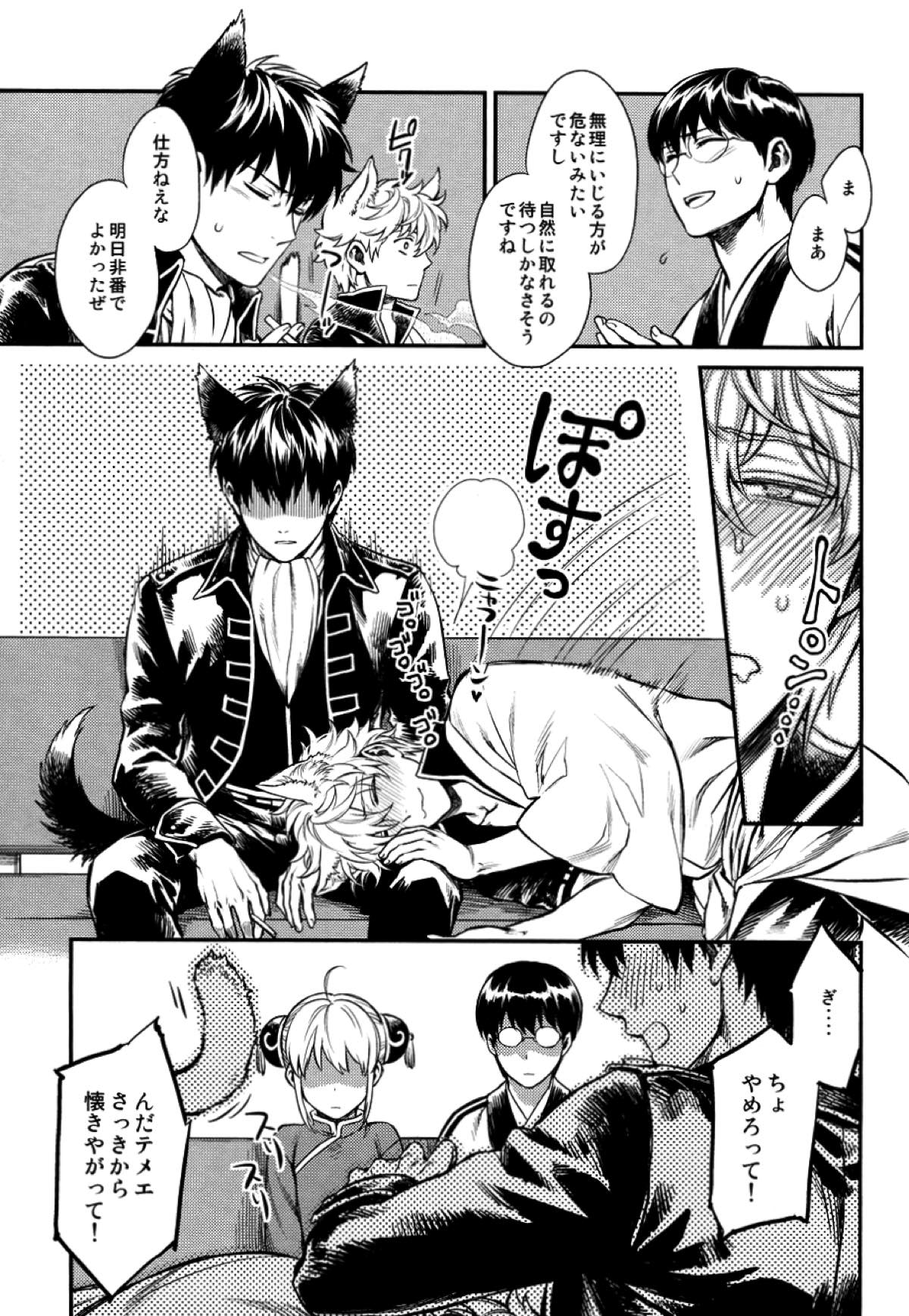 LIKE CAT AND DOG【銀魂/土銀】 page 12