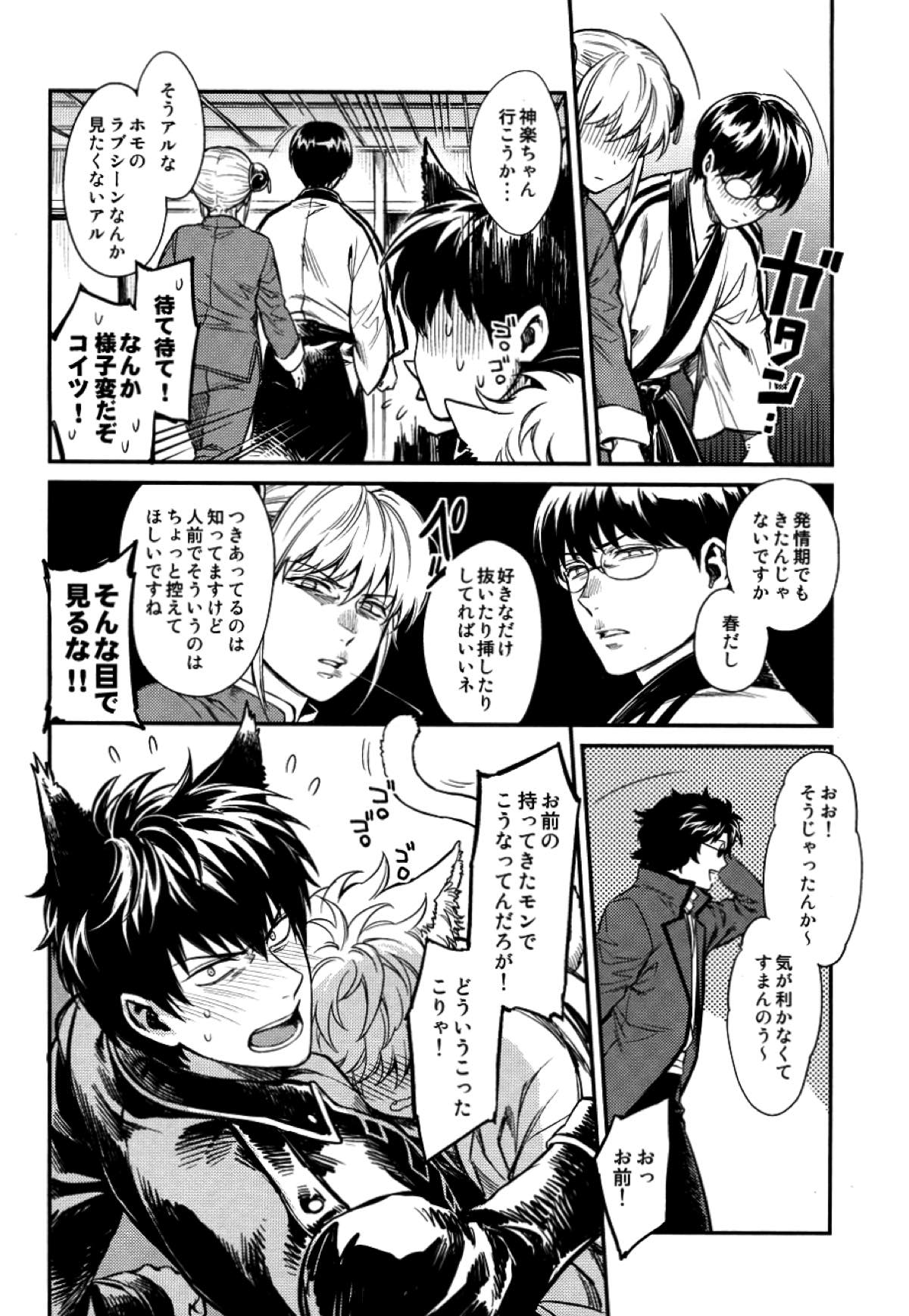 LIKE CAT AND DOG【銀魂/土銀】 page 13