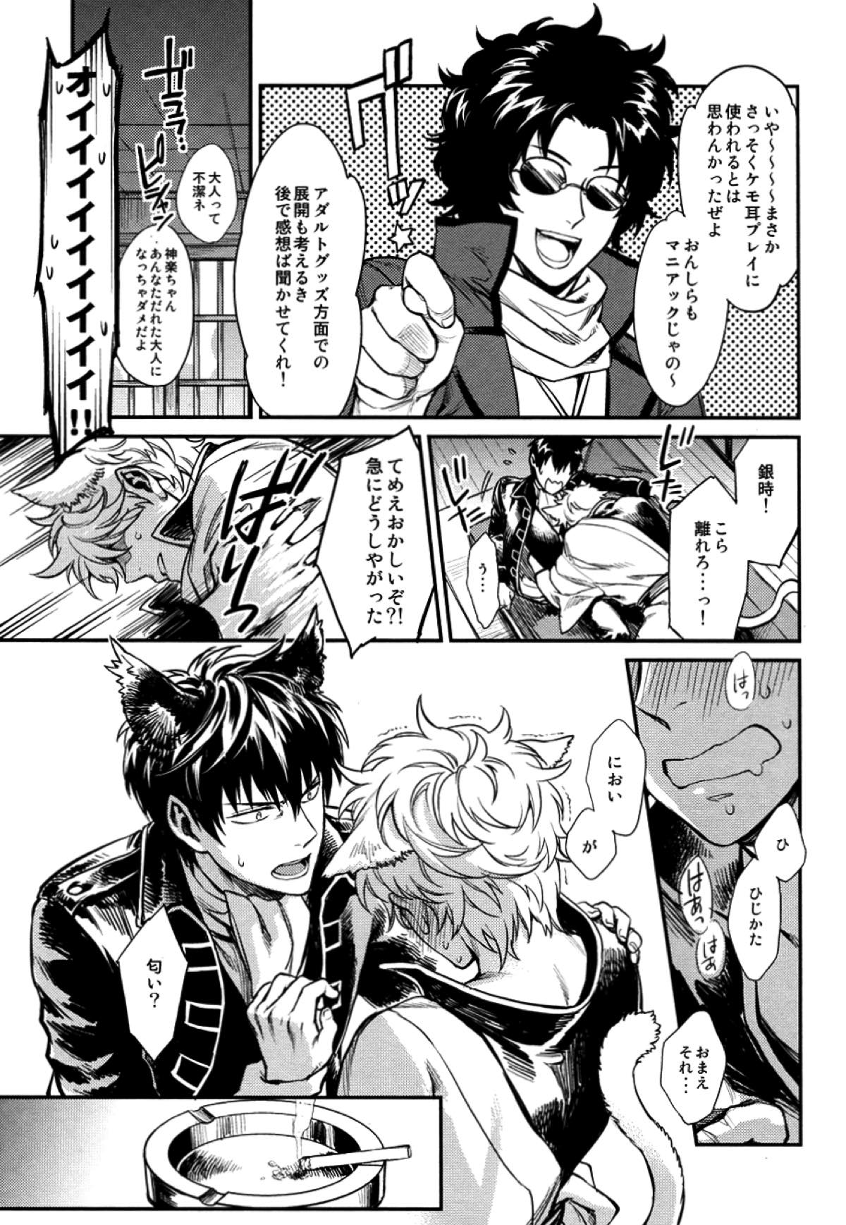 LIKE CAT AND DOG【銀魂/土銀】 page 14