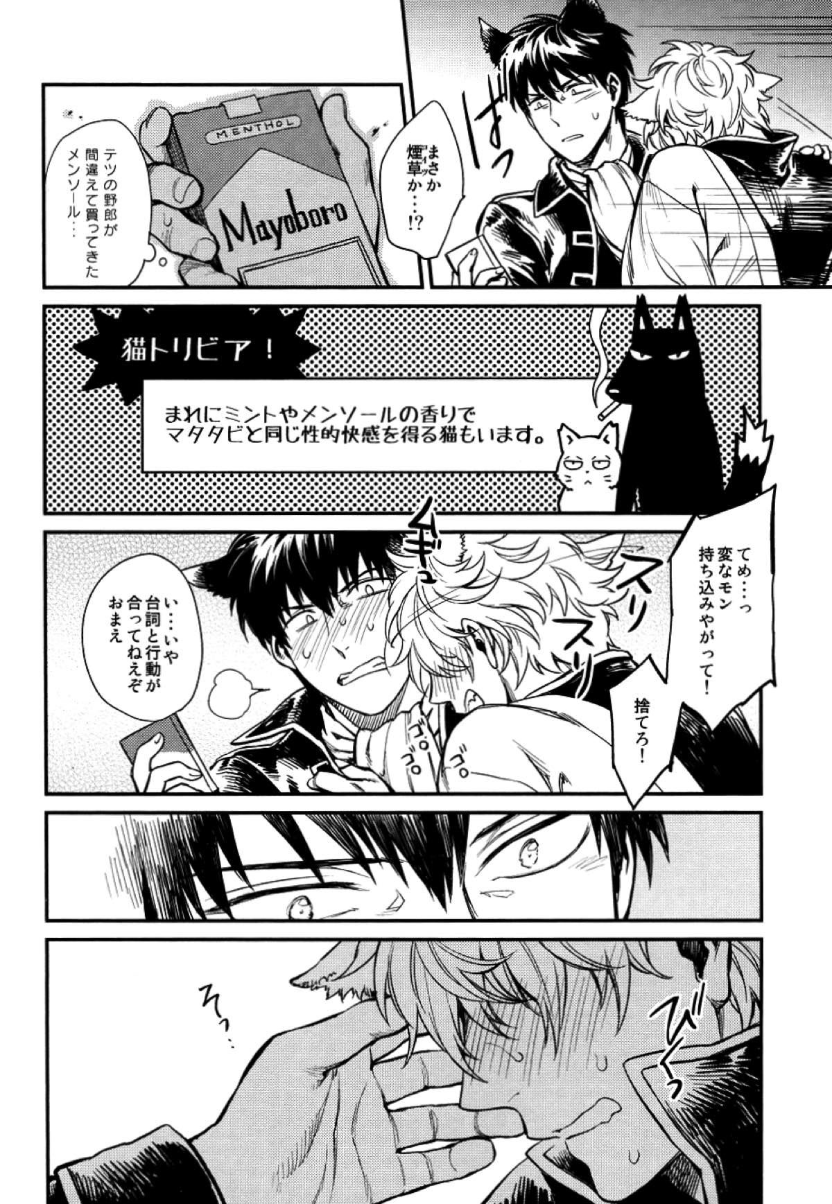 LIKE CAT AND DOG【銀魂/土銀】 page 15