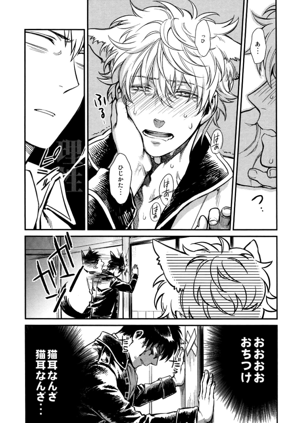 LIKE CAT AND DOG【銀魂/土銀】 page 16