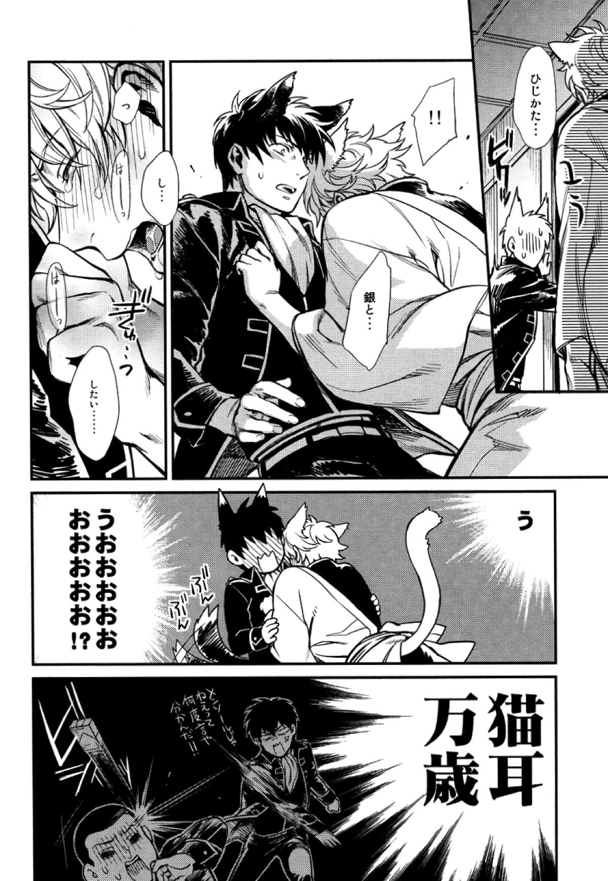 LIKE CAT AND DOG【銀魂/土銀】 page 17