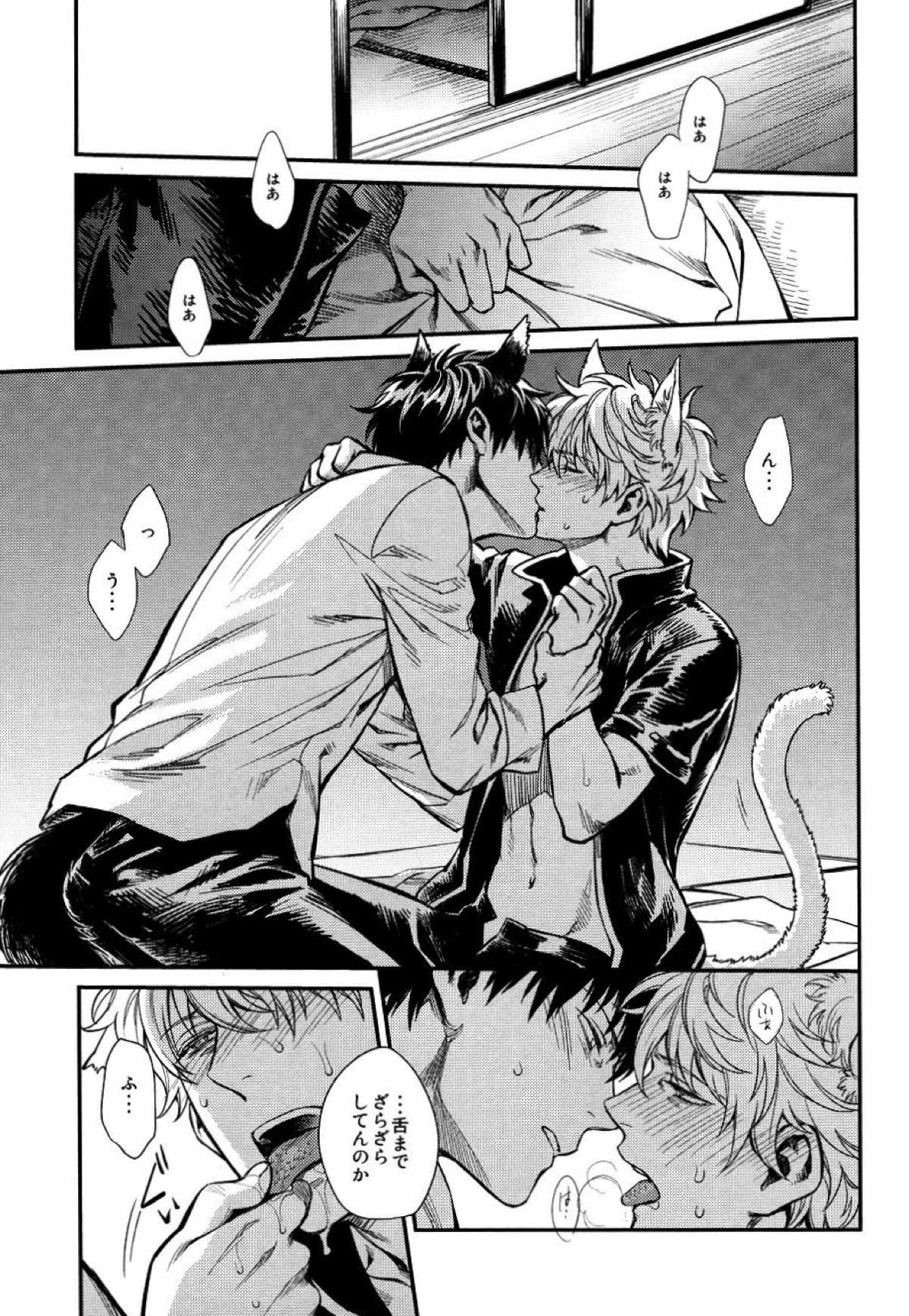 LIKE CAT AND DOG【銀魂/土銀】 page 18