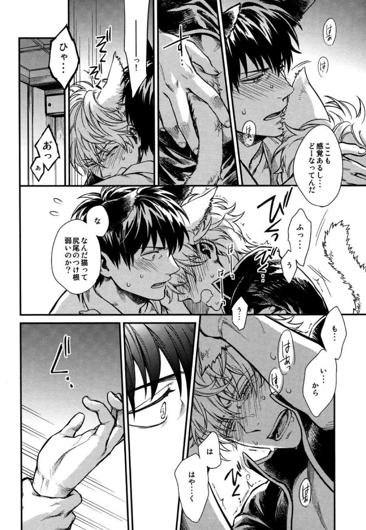 LIKE CAT AND DOG【銀魂/土銀】 page 19