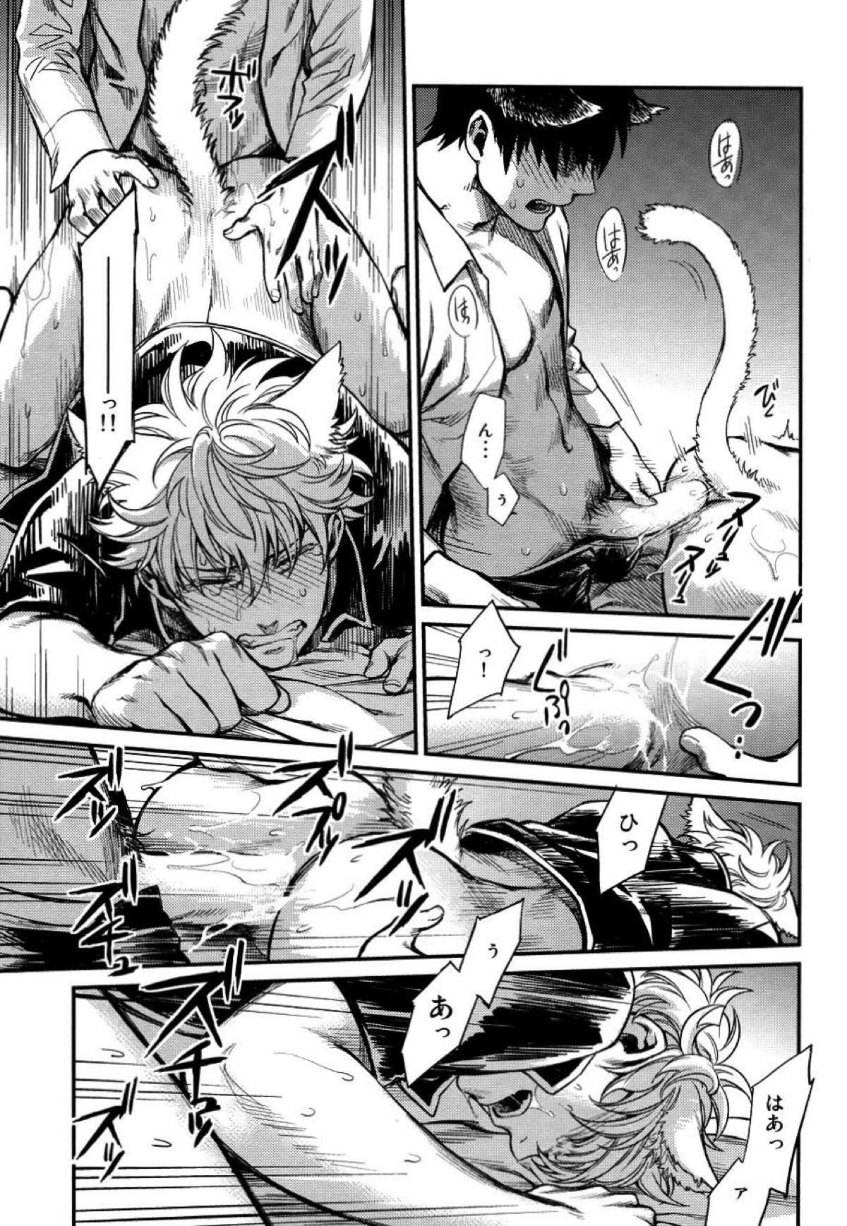 LIKE CAT AND DOG【銀魂/土銀】 page 24