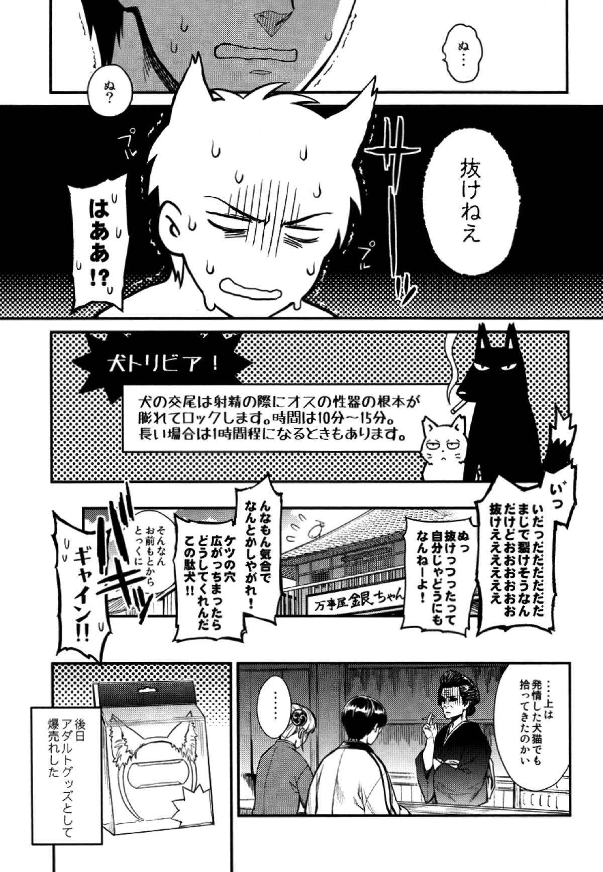 LIKE CAT AND DOG【銀魂/土銀】 page 28