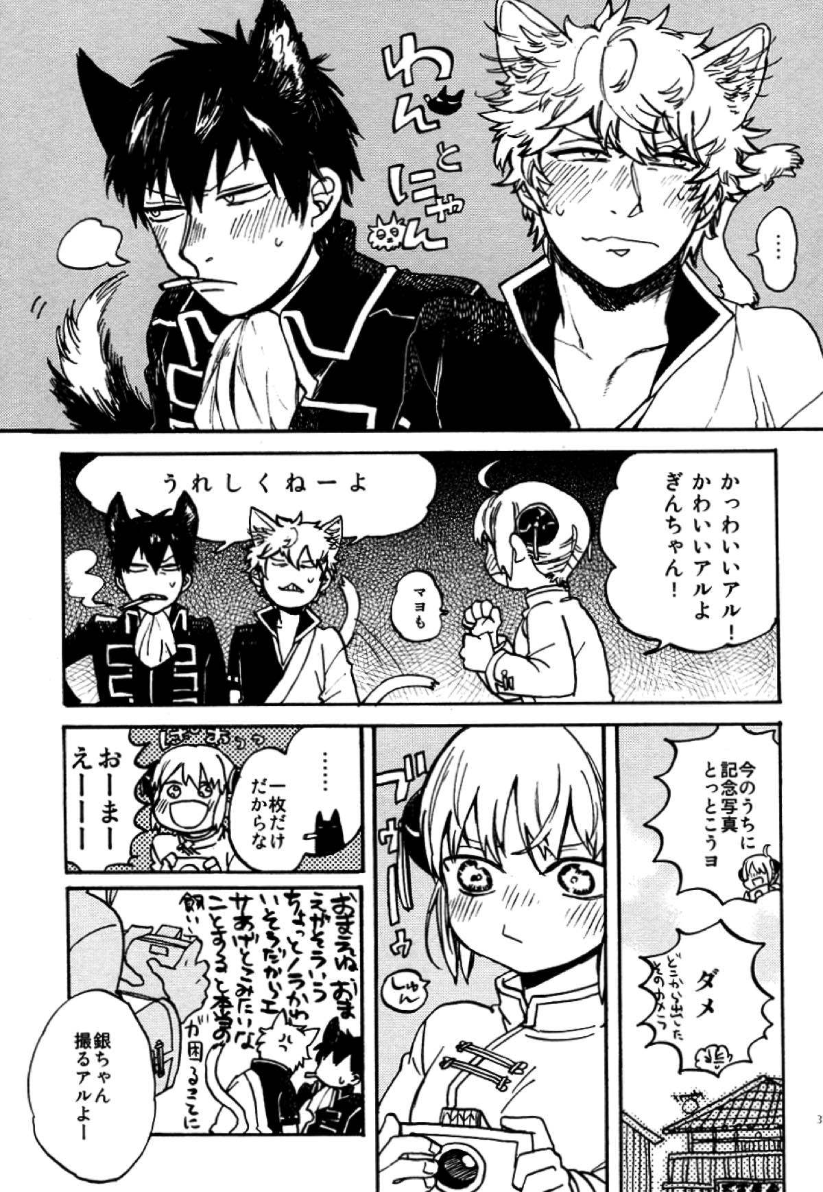 LIKE CAT AND DOG【銀魂/土銀】 page 30