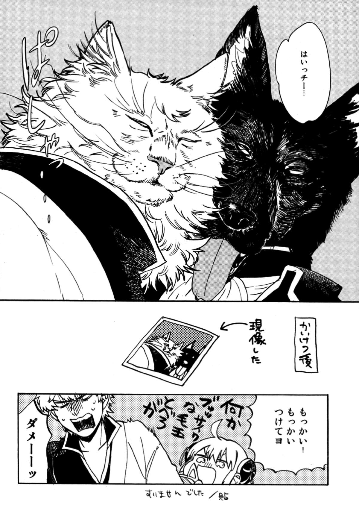LIKE CAT AND DOG【銀魂/土銀】 page 31