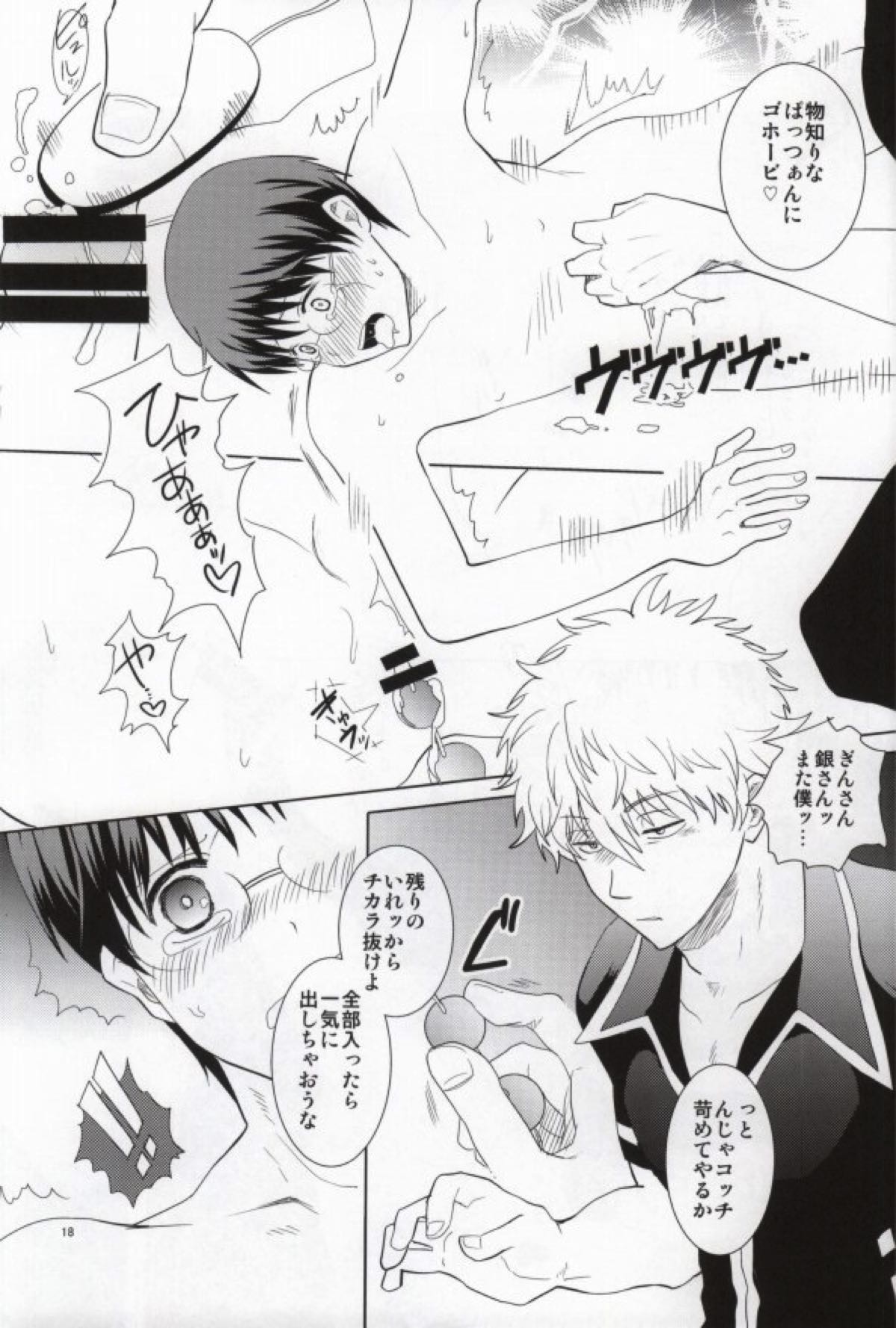 ながされちゃってくださいな。【銀魂/銀新】 page 17
