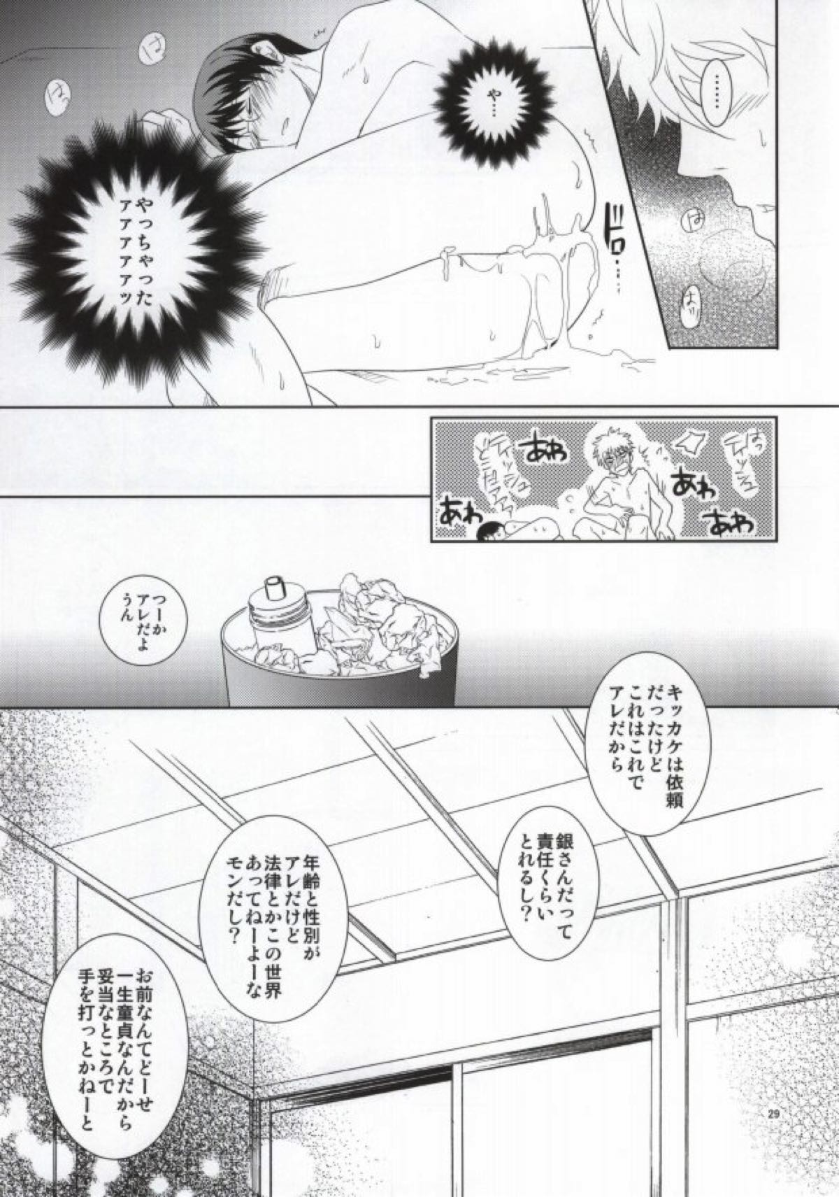 ながされちゃってくださいな。【銀魂/銀新】 page 28