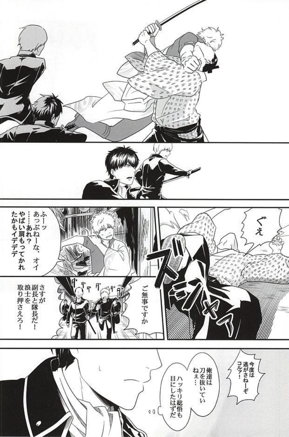 イヌが歩けば天パに当たる【銀魂/銀土】 page 14