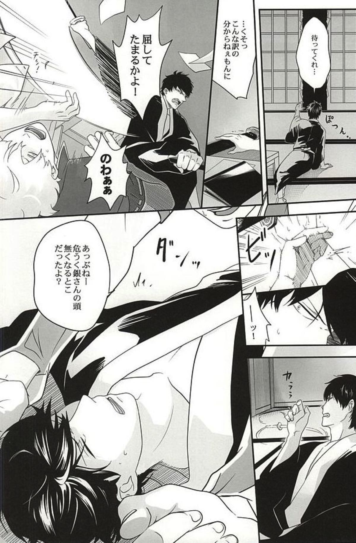 イヌが歩けば天パに当たる【銀魂/銀土】 page 25