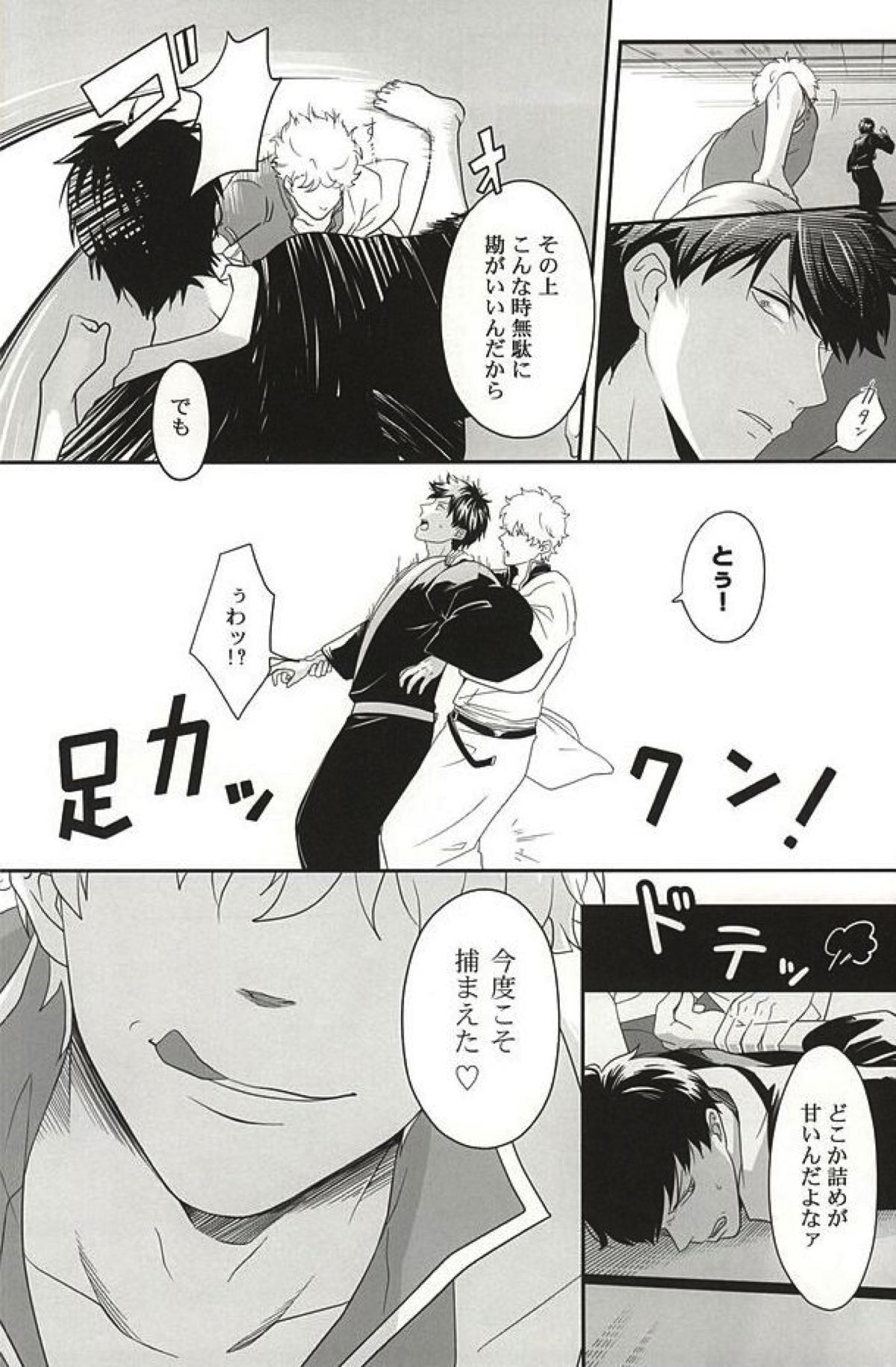 イヌが歩けば天パに当たる【銀魂/銀土】 page 27