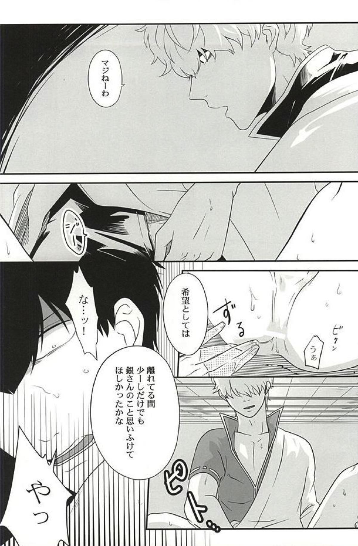 イヌが歩けば天パに当たる【銀魂/銀土】 page 31