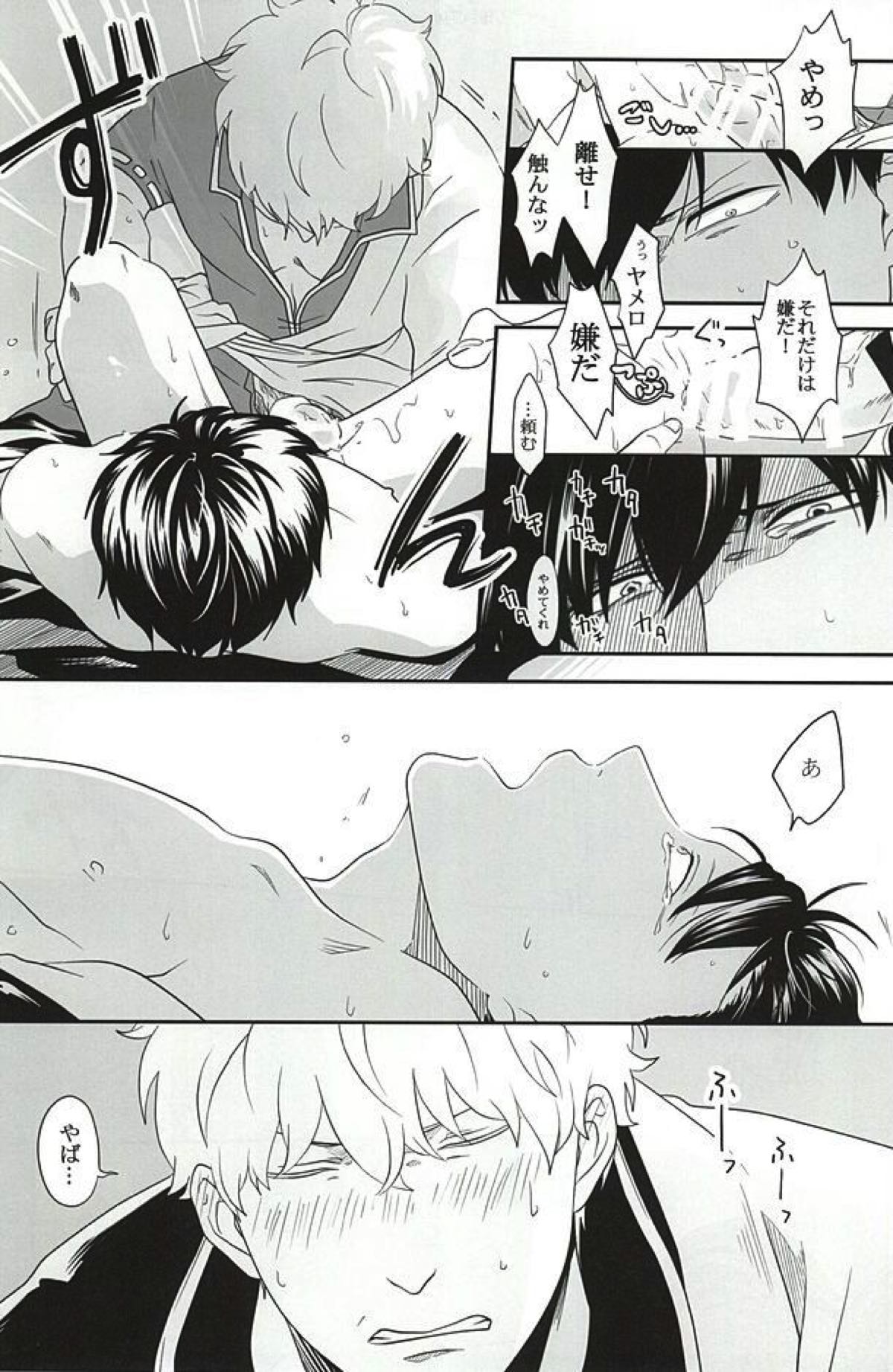 イヌが歩けば天パに当たる【銀魂/銀土】 page 32