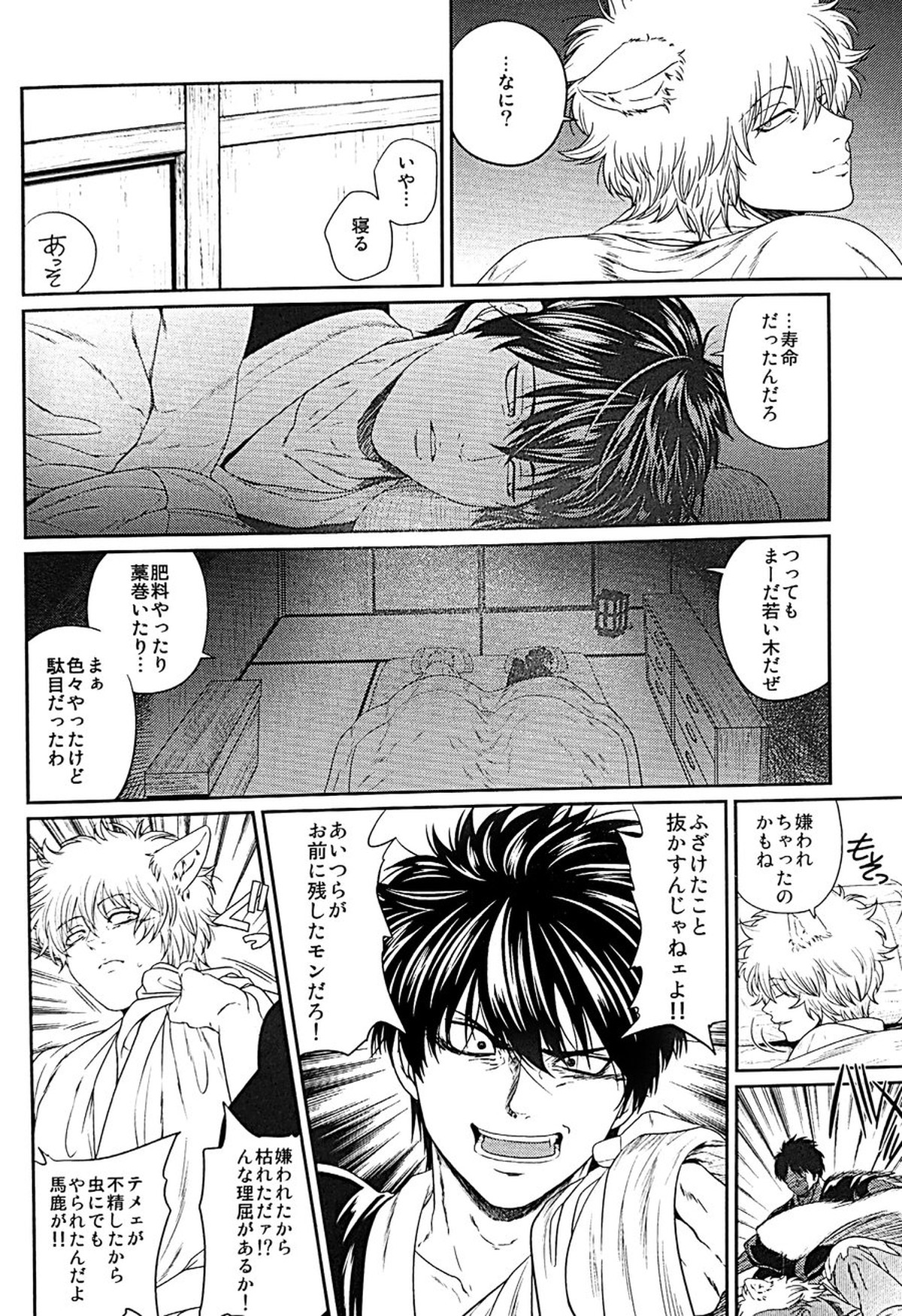めばえ【銀魂/土銀】 page 27