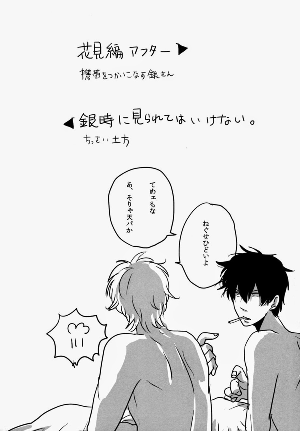酔って狂乱【銀魂/銀土】 page 29