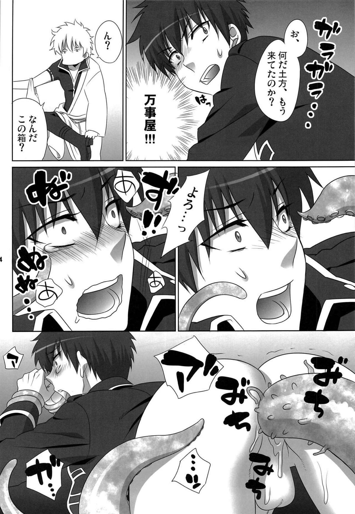 ペットの躾くらいちゃんとしとけ!!【銀魂/銀土】 page 11